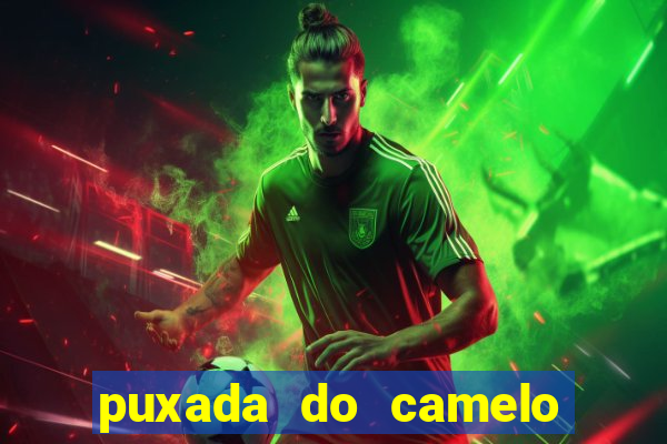 puxada do camelo jogo do bicho